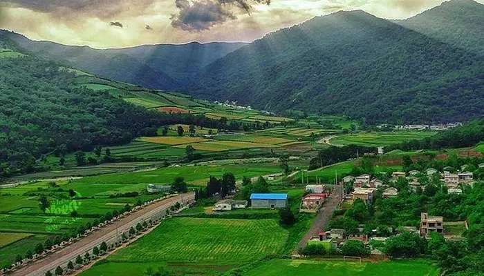 تریپ
