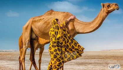 برنامه سفر به قشم