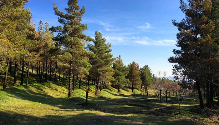 جاهای دیدنی تهران در عید
