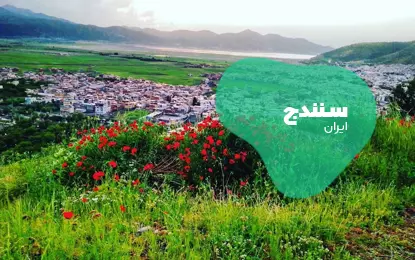 بلیط هواپیما سنندج