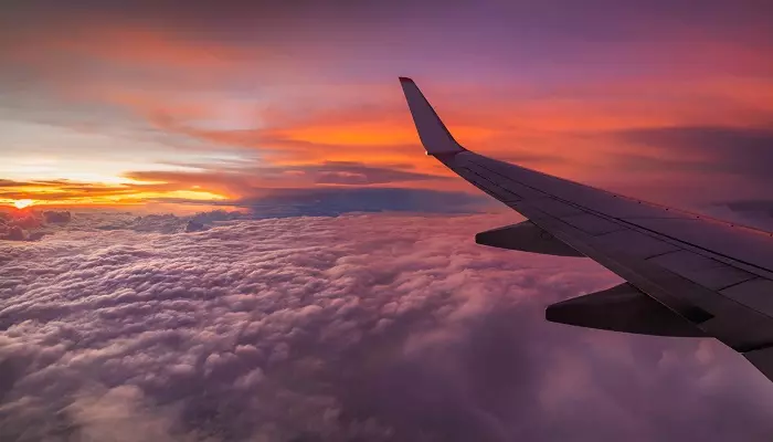 تریپ